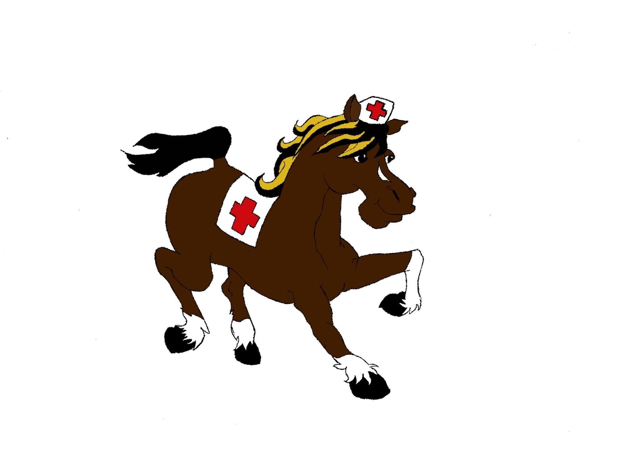 Dr.Kôň-hipoterapia