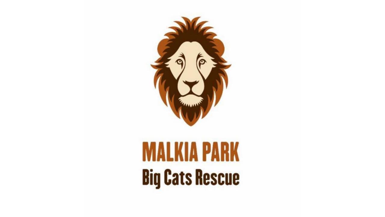 Malkia Park (Big Cats Rescue) 