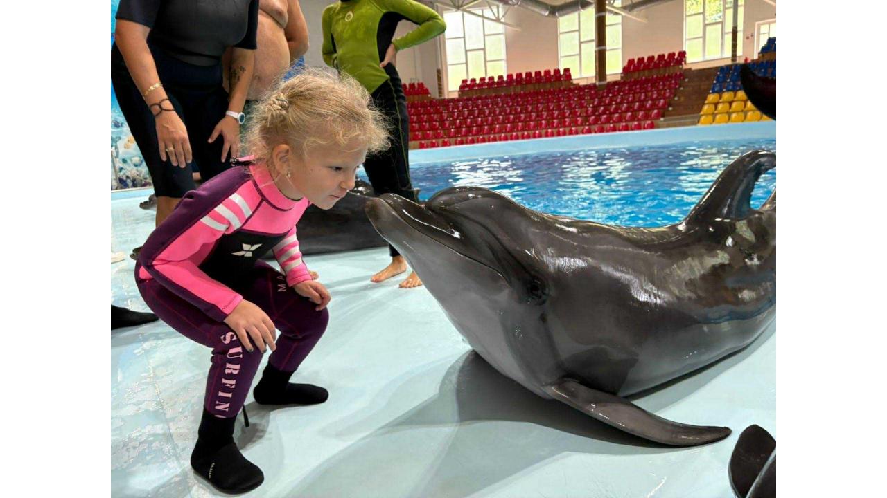 fit by Kristína Ružičková