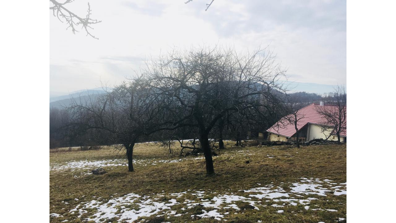 Úžasné vyhodiť práce pics