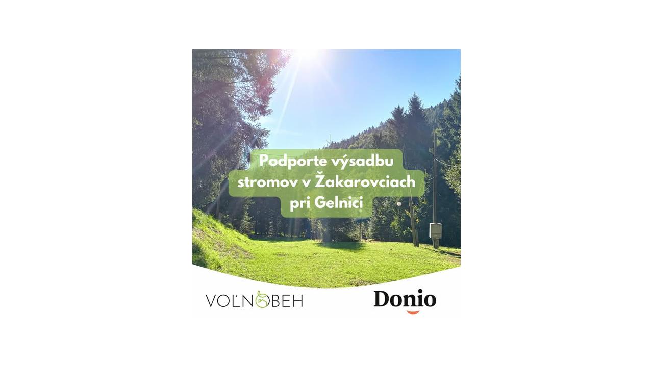 Voľnobeh, n.o.